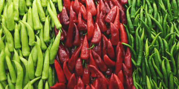 Fresh Produce: Chilli growing on our farms.