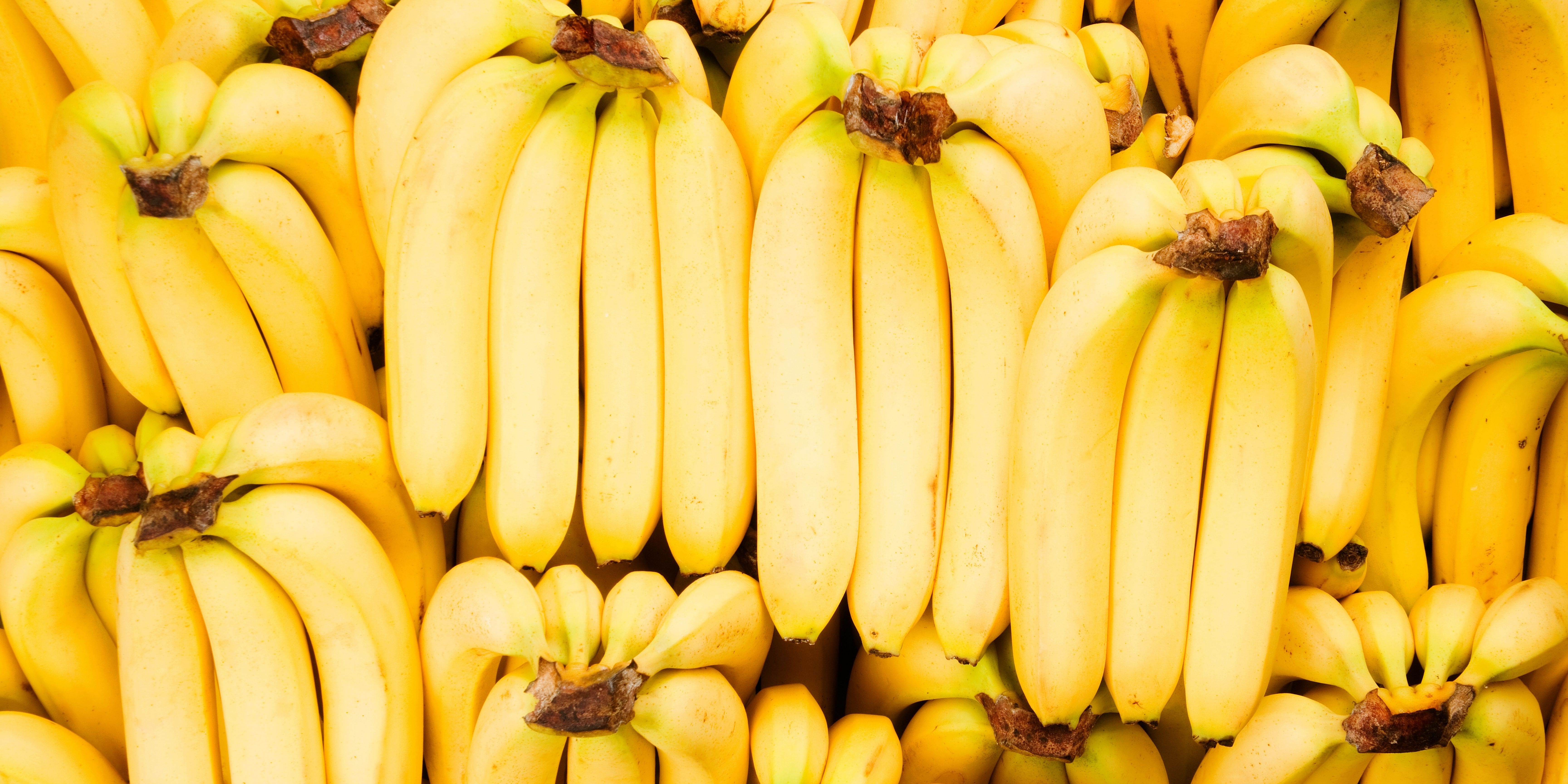 Fresh Bananas being stored