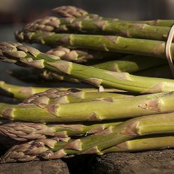 Wholesale Fresh produce: Exotic legumes: Asparagus