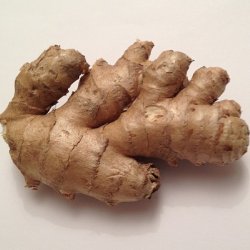 Wholesale Fresh produce: Exotics - Ginger