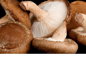 Fresh produce: Livesey Mushrooms - Maitake