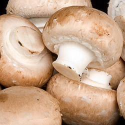 Wholesale Fresh Produce | Mushrooms