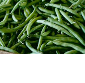 Wholesale Fresh Produce: Beans