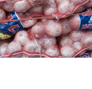 Wholesale Fresh Produce: Onions