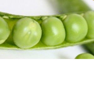 Wholesale Fresh Produce | Peas