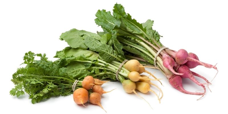 Fresh Produce: Baby Vegetables - Baby Beetroot