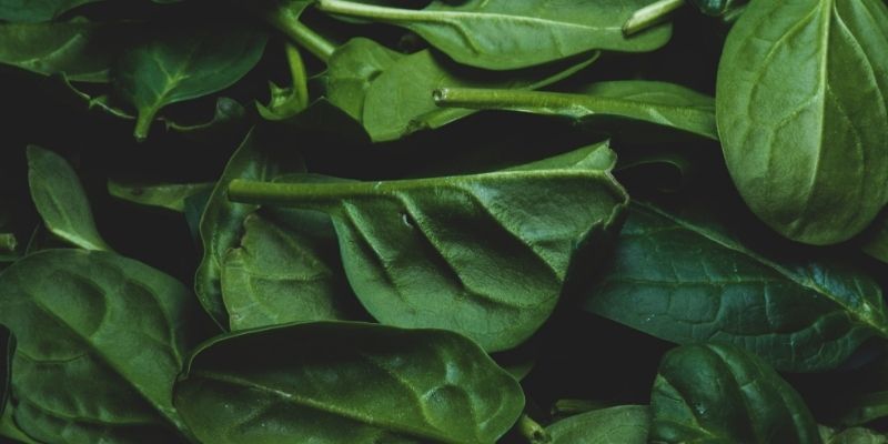 Fresh Produce: Baby Veg - Baby Spinach