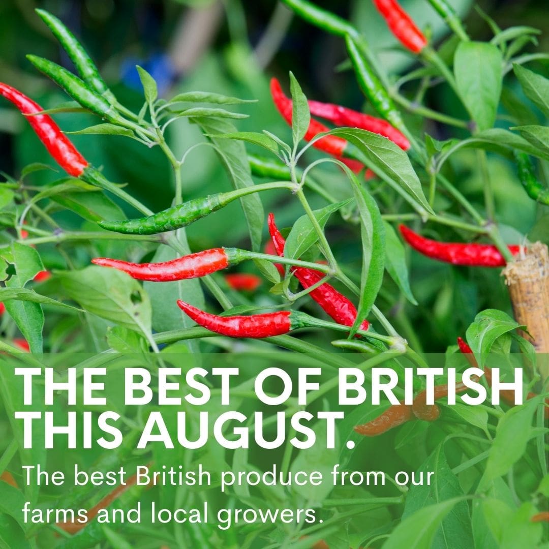 The Best Of British Fresh Produce this August