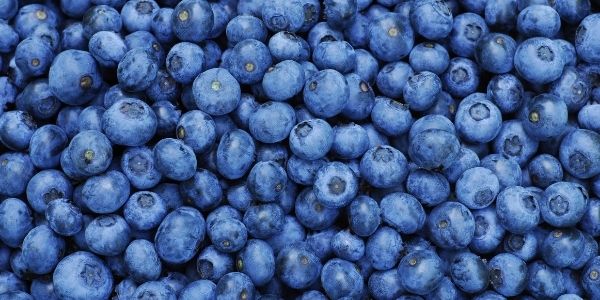 Fresh Produce: Blueberries from local growers