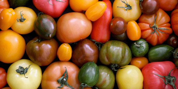 Fresh produce: Westlands UK Heritage Tomato