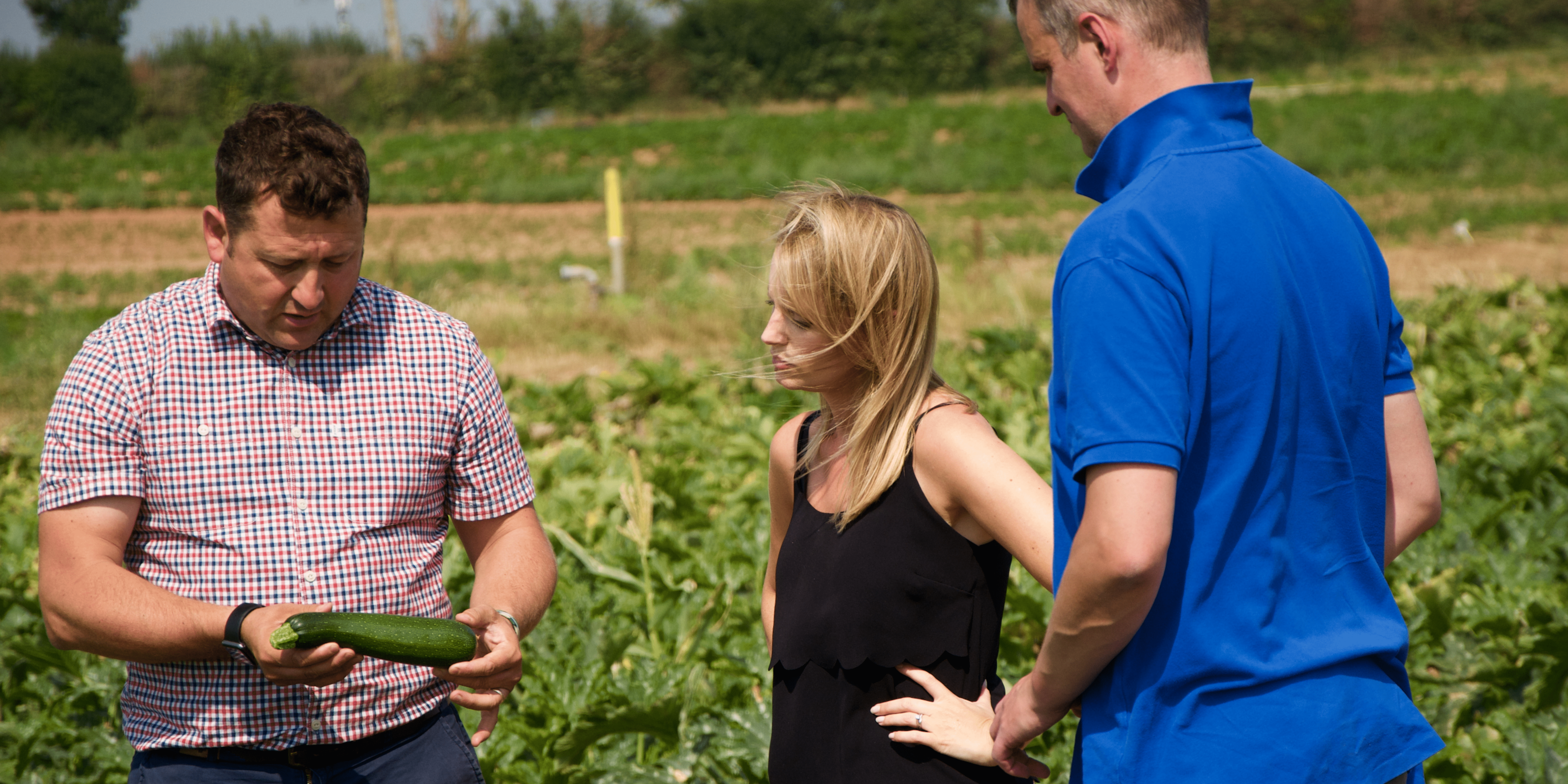 FerryFasts director Dan Byrd on farms in Evesham holding a courgette whilst talking to Jess Latchford from Waste Knot UK and Rob.