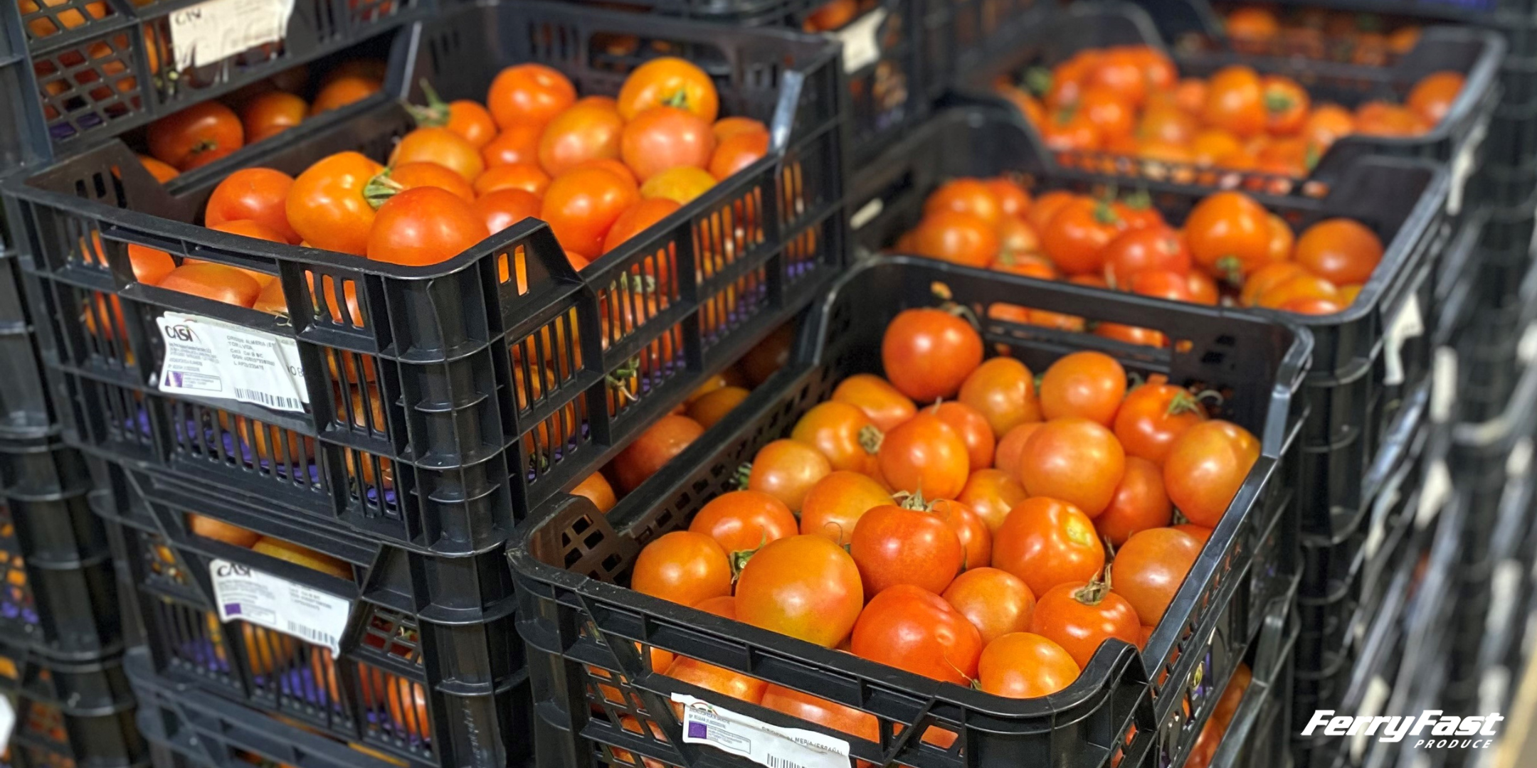 Fresh Tomatoes available daily from FerryFast Produce.