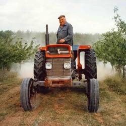 Wholesale Fresh Produce Evesham : B&G Nurseries Tractor Driver
