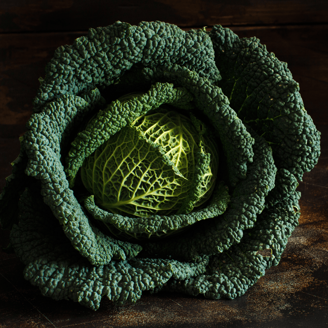 Wholesale Fresh Produce Evesham : Savoy cabbage grown in Evesham