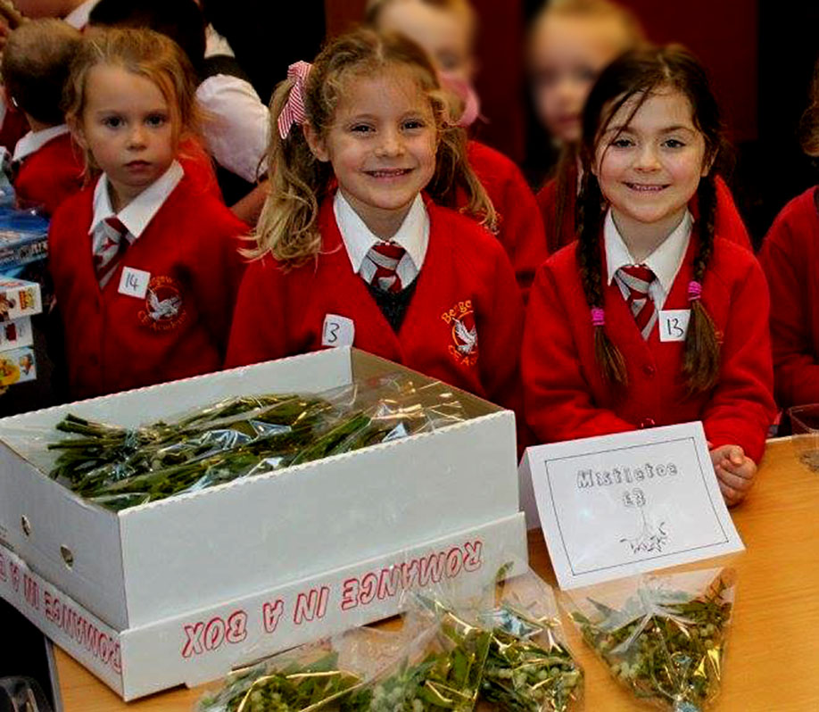 Wholesale Fresh produce:  Fresh Holly & Mistletoe Local School