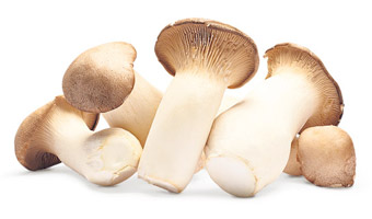 Wholesale Fresh Produce | Livesey Mushrooms - Eryngii