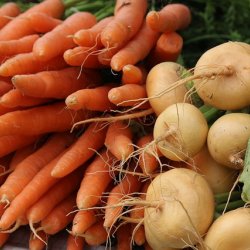 Wholesale Fresh Produce | Root