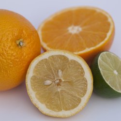 Wholesale Fresh Produce: Citrus