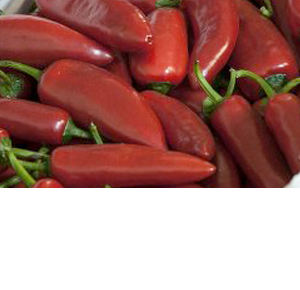 Wholesale Fresh Produce: Exotics - Chillies