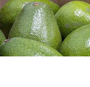 Wholesale Fresh Produce: Exotics - Avocado