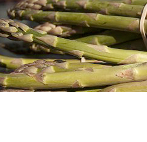 Wholesale Fresh Produce: Exotics - Asparagus