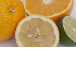 Wholesale Fresh Produce: Citrus Fruits