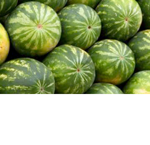 Wholesale Fresh Produce: Melons