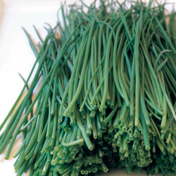 Wholesale Fresh produce: Herbs - Chives