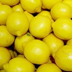 Wholesale Fresh Produce: Lemons