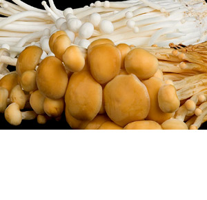 Wholesale Fresh Produce | Livesey Mushrooms
