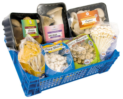 Wholesale Fresh Produce | Livesey Mushrooms