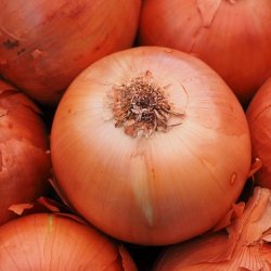 Wholesale Fresh Produce | Onions