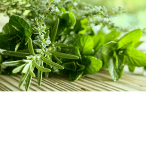 Seasonal Fresh produce: Herbs