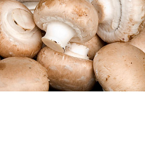 Seasonal Fresh produce: Mushrooms