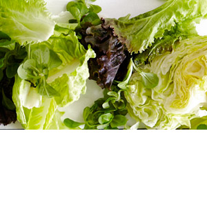 Seasonal Fresh produce: Lettuce varieties
