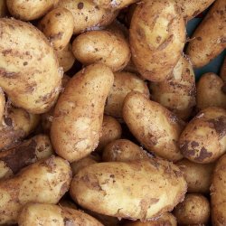 Wholesale Fresh Produce | Potatoes