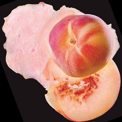 Wholesale Fresh Produce: Puree Peach