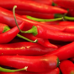Wholesale Fresh produce: Chillies - Red Birds Eye Chilli
