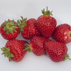 Wholesale Fresh Produce: UK Strawberries 
