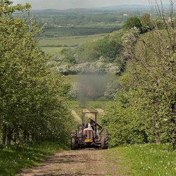 Fresh produce: Tractor driving up farm land in Vale of Evesham