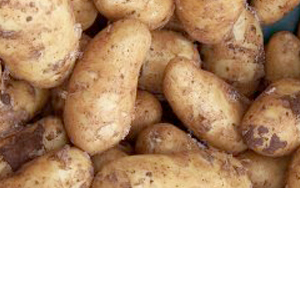 Wholesale Fresh Produce: Potatoes