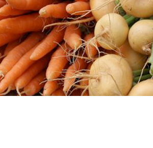 Wholesale Fresh Produce: Root Vegetables