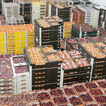 Fresh Produce Warhouse: Boxes of fresh produce stacked on a pallet