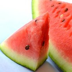 Wholesale Fresh produce: melon
